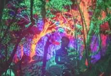 Mise en lumières des grands espaces